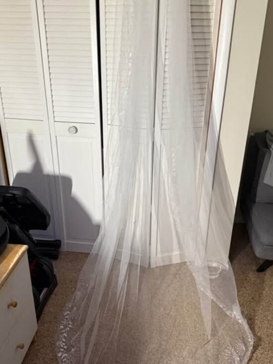 Chapel Length Dandelion Lace Veil